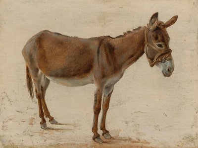 A Donkey by Jacques Laurent Agasse